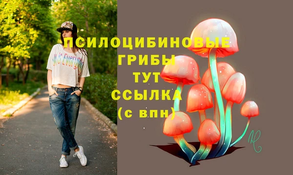 прущие грибы Арсеньев