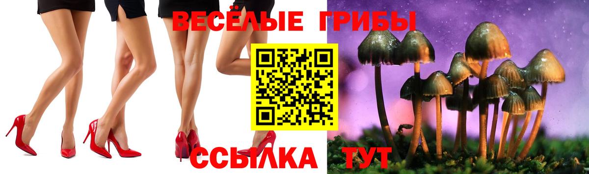 Псилоцибиновые грибы GOLDEN TEACHER  купить наркотики цена  Каспийск  Вход с VPN 